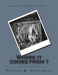 Where it comes from ?: An illustrated novel 1