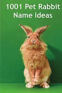 bokomslag 1001 Pet Rabbit Name Ideas: The most popular, quirky, and fun names you could give your pet rabbit!