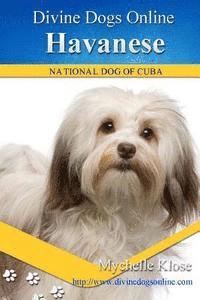 Havanese: Divine Dogs Online 1