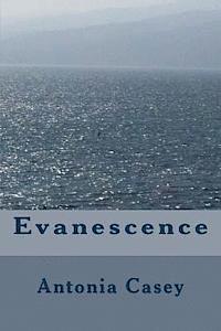bokomslag Evanescence