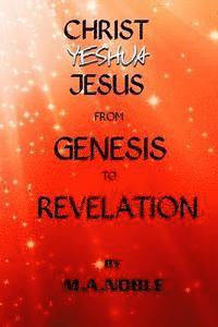 bokomslag Christ Yeshua Jesus from Genesis to Revelation: Last Chance Series Book 1