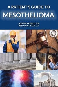 bokomslag A Patient's Guide to Mesothelioma