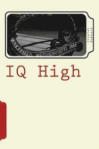 bokomslag IQ High