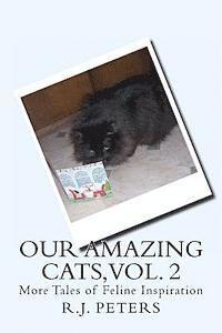 bokomslag Our Amazing Cats, Vol. 2: More Tales of Feline Inspiration