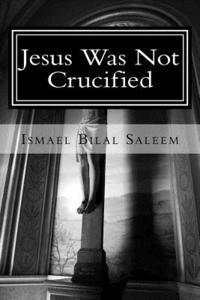 bokomslag Jesus Was Not Crucified