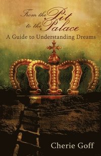 bokomslag From the Pit to the Palace: A Guide to Understanding Dreams