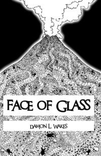 bokomslag Face of Glass