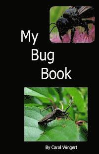 bokomslag My Bug Book