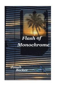 bokomslag Flash of Monochrome