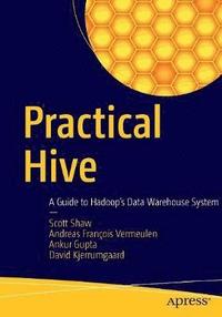 bokomslag Practical Hive
