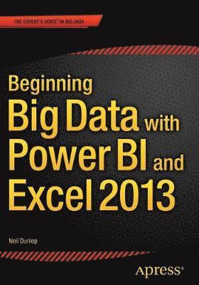 Beginning Big Data with Power BI and Excel 2013 1