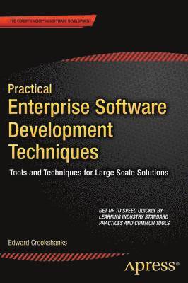 bokomslag Practical Enterprise Software Development Techniques