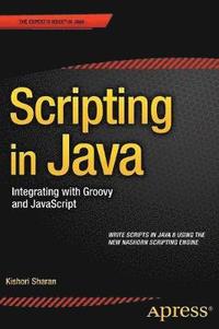bokomslag Scripting in Java