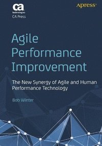 bokomslag Agile Performance Improvement