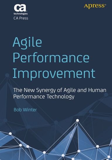 Robert Winter - Agile Performance Improvement, Häftad