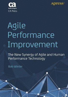 Agile Performance Improvement 1