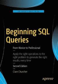 bokomslag Beginning SQL Queries