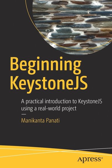 bokomslag Beginning KeystoneJS