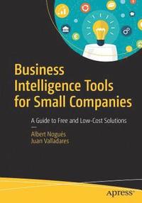 bokomslag Business Intelligence Tools for Small Companies
