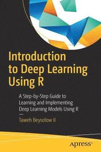 bokomslag Introduction to Deep Learning Using R