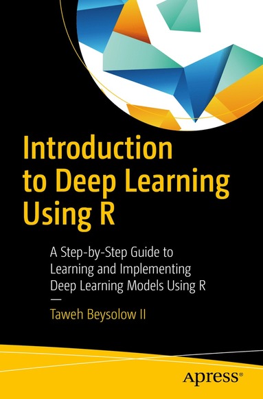 bokomslag Introduction to Deep Learning Using R