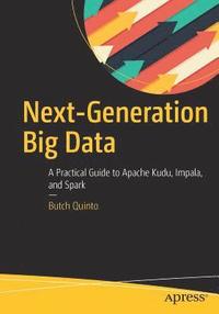 bokomslag Next-Generation Big Data
