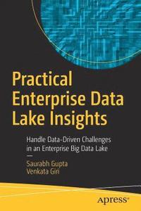bokomslag Practical Enterprise Data Lake Insights