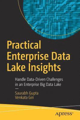 Practical Enterprise Data Lake Insights 1