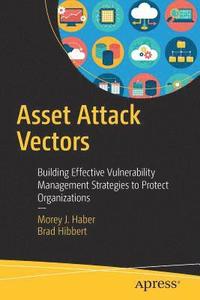 bokomslag Asset Attack Vectors