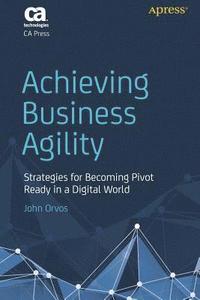 bokomslag Achieving Business Agility