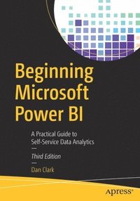 bokomslag Beginning Microsoft Power BI