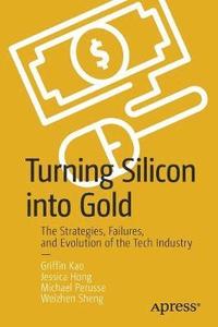 bokomslag Turning Silicon into Gold