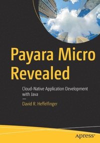 bokomslag Payara Micro Revealed