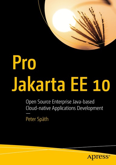 bokomslag Pro Jakarta EE 10