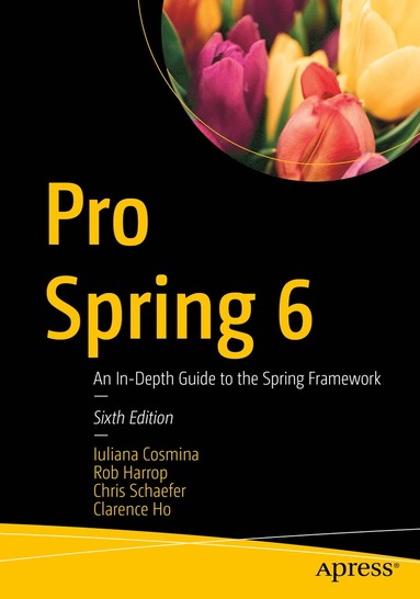 bokomslag Pro Spring 6