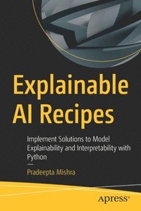 bokomslag Explainable AI Recipes