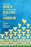 International Monetary Fund, Trevor Alleyne - Unleashing growth and strengthening resilience in the Caribbean, Häftad