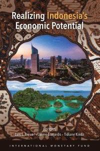 bokomslag Realizing Indonesia's economic potential
