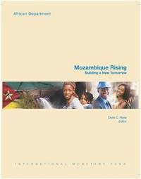 bokomslag Mozambique Rising (French)