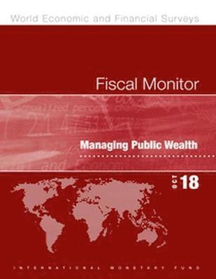 bokomslag Fiscal monitor