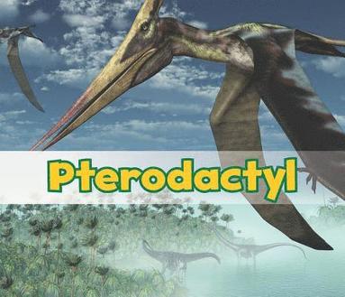 bokomslag Pterodactyl