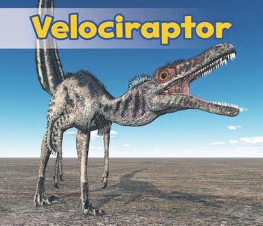 bokomslag Velociraptor