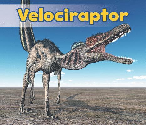 Velociraptor 1