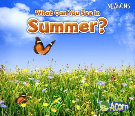 What Can You See in Summer? 1