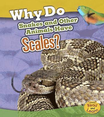 Clare Lewis - Why Do Snakes and Other Animals Have Scales?, Häftad