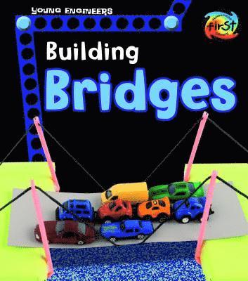 Tammy Enz - Building Bridges, Häftad