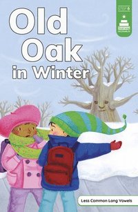 bokomslag Old Oak in Winter