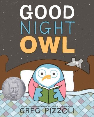 bokomslag Good Night Owl