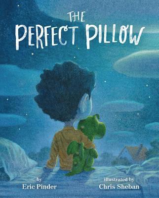 bokomslag Perfect Pillow