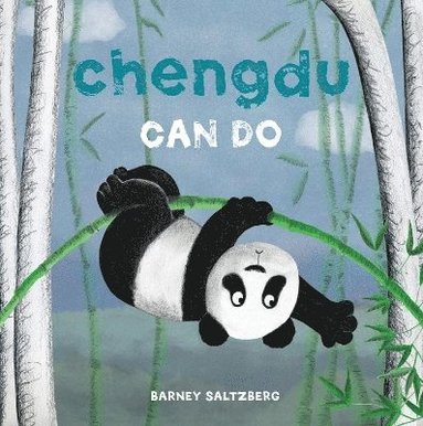Barney Saltzberg - Saltzberg, B: Chengdu Can Do, Inbunden